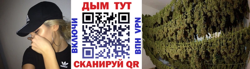 Конопля сатива  Кстово 